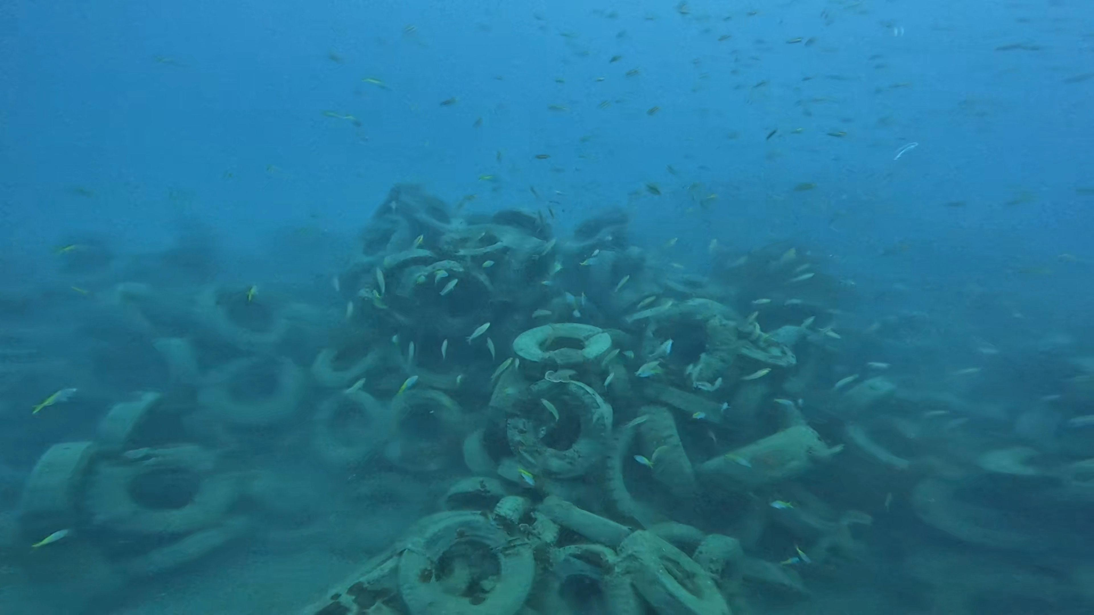 Underwater scene