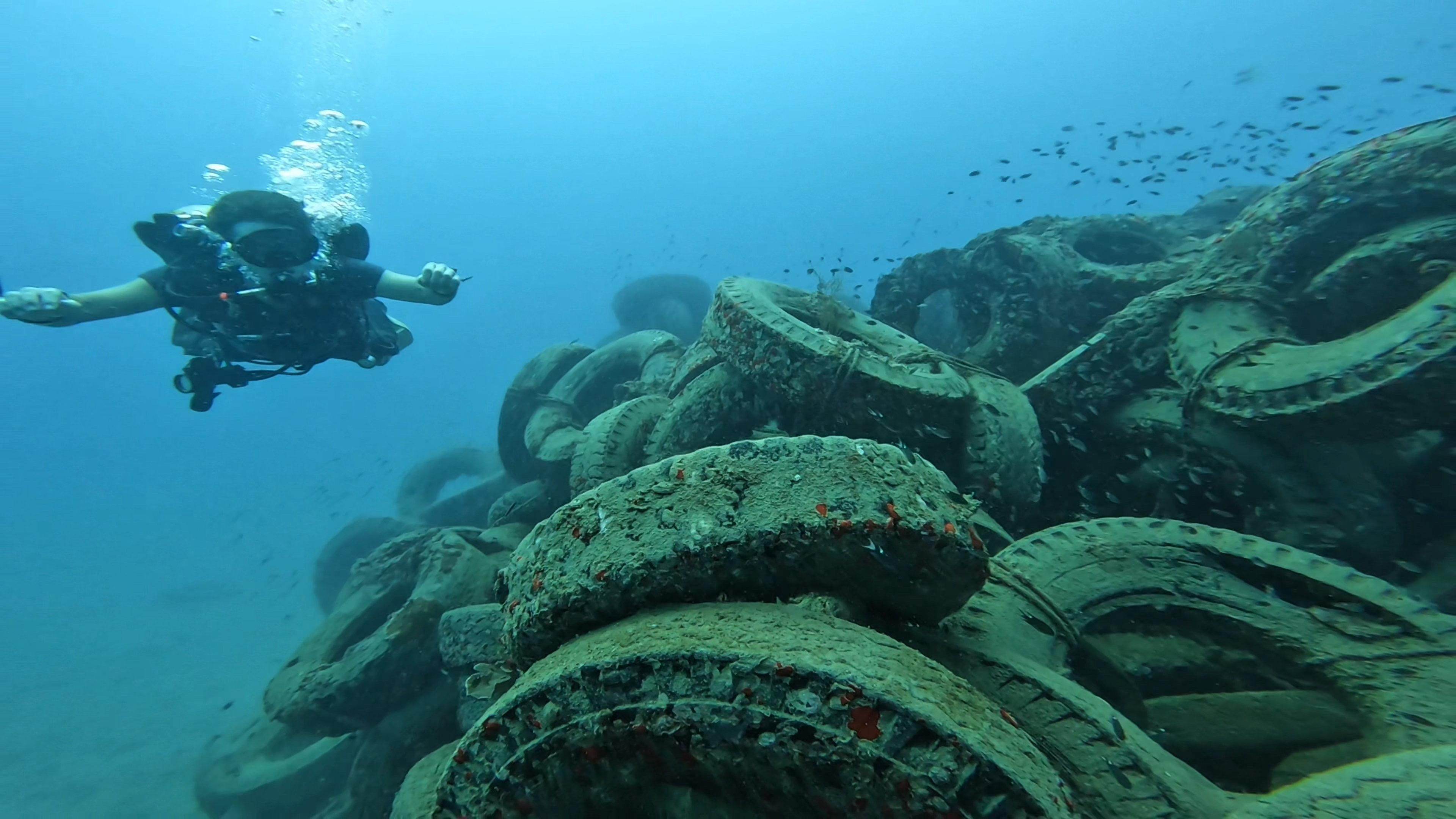 Tyre City